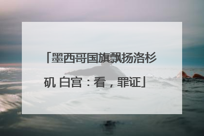 墨西哥国旗飘扬洛杉矶 白宫：看，罪证