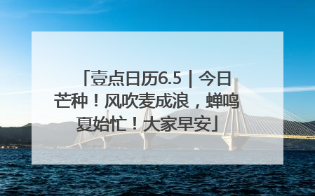 壹点日历6.5｜今日芒种！风吹麦成浪，蝉鸣夏始忙！大家早安