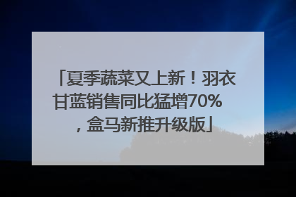 夏季蔬菜又上新！羽衣甘蓝销售同比猛增70%，盒马新推升级版