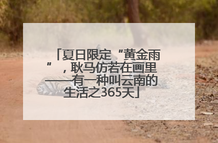 夏日限定“黄金雨”，耿马仿若在画里——有一种叫云南的生活之365天