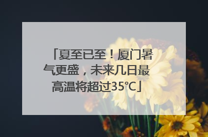夏至已至！厦门暑气更盛，未来几日最高温将超过35℃