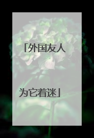 外国友人为它着迷