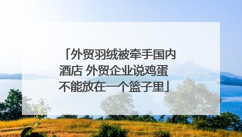 外贸羽绒被牵手国内酒店 外贸企业说鸡蛋不能放在一个篮子里