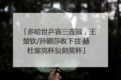 多哈世乒赛三连冠，王楚钦/孙颖莎收下兹·赫杜塞克杯复刻奖杯