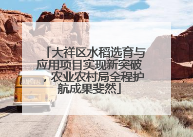 大祥区水稻选育与应用项目实现新突破，农业农村局全程护航成果斐然