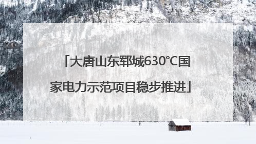 大唐山东郓城630℃国家电力示范项目稳步推进