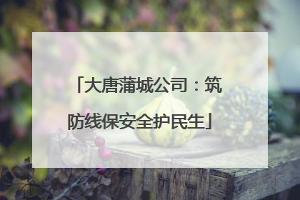 大唐蒲城公司：筑防线保安全护民生