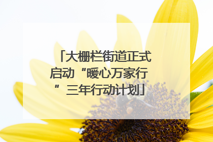 大栅栏街道正式启动“暖心万家行”三年行动计划