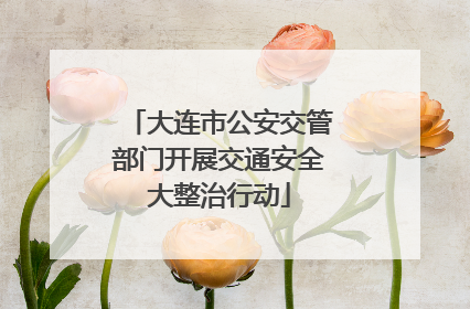 大连市公安交管部门开展交通安全大整治行动