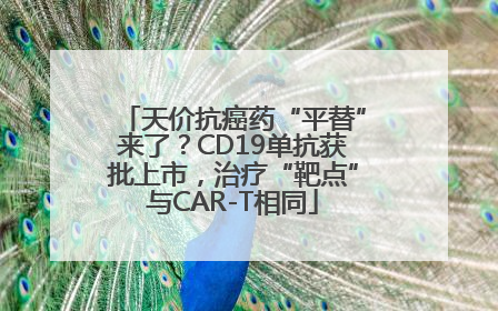 天价抗癌药“平替”来了？CD19单抗获批上市，治疗“靶点”与CAR-T相同