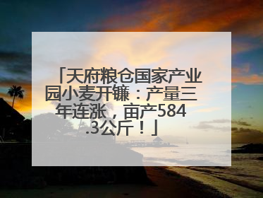 天府粮仓国家产业园小麦开镰：产量三年连涨，亩产584.3公斤！