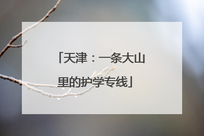 天津：一条大山里的护学专线