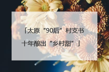 太原“90后”村支书十年酿出“乡村甜”
