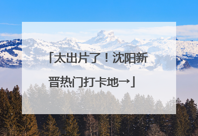 太出片了！沈阳新晋热门打卡地→