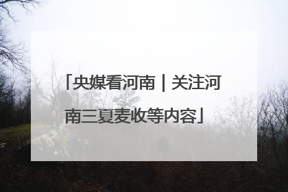 央媒看河南｜关注河南三夏麦收等内容