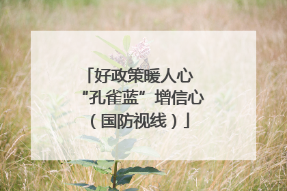 好政策暖人心 “孔雀蓝”增信心（国防视线）