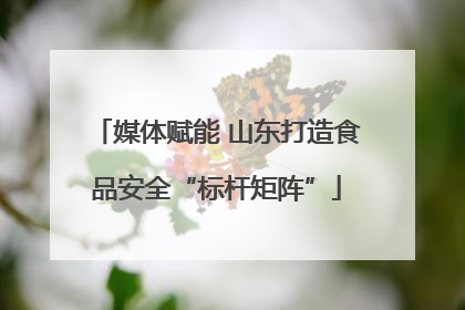 媒体赋能 山东打造食品安全“标杆矩阵”