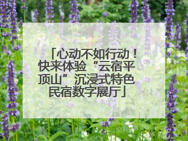心动不如行动！快来体验“云宿平顶山”沉浸式特色民宿数字展厅