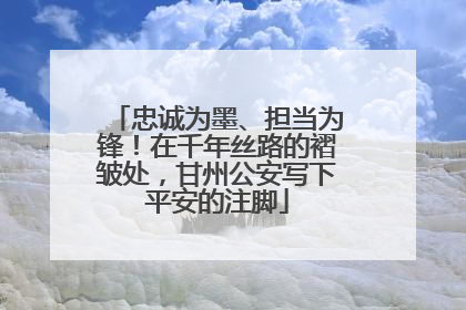 忠诚为墨、担当为锋！在千年丝路的褶皱处，甘州公安写下平安的注脚
