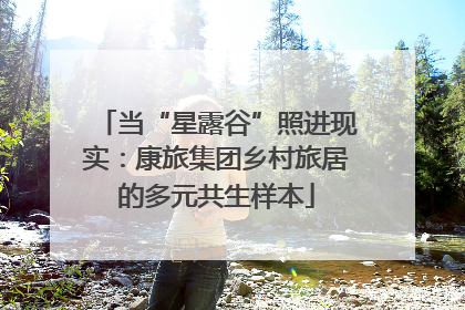 当“星露谷”照进现实：康旅集团乡村旅居的多元共生样本