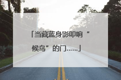 当藏蓝身影叩响“候鸟”的门……