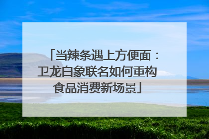 当辣条遇上方便面：卫龙白象联名如何重构食品消费新场景
