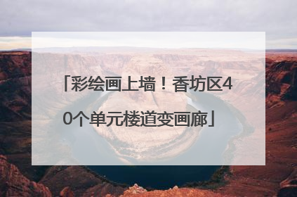 彩绘画上墙！香坊区40个单元楼道变画廊