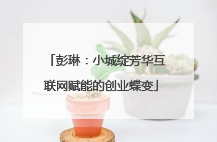 彭琳：小城绽芳华互联网赋能的创业蝶变