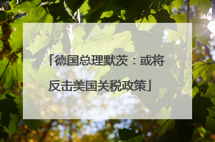 德国总理默茨：或将反击美国关税政策