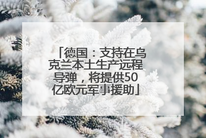 德国：支持在乌克兰本土生产远程导弹，将提供50亿欧元军事援助