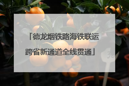 德龙烟铁路海铁联运跨省新通道全线贯通