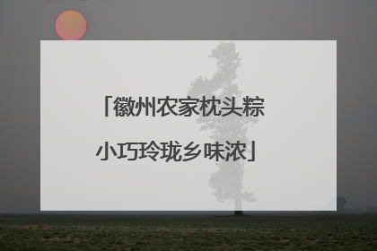 徽州农家枕头粽 小巧玲珑乡味浓
