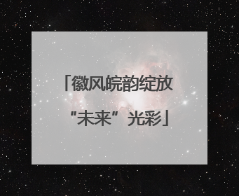 徽风皖韵绽放“未来”光彩