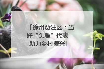 徐州贾汪区：当好“头雁”代表 助力乡村振兴