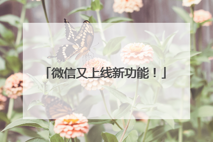 微信又上线新功能！