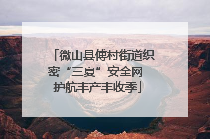 微山县傅村街道织密“三夏”安全网 护航丰产丰收季