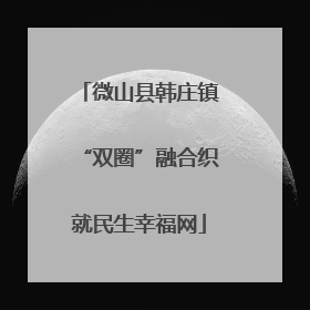 微山县韩庄镇“双圈”融合织就民生幸福网