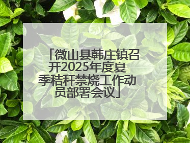 微山县韩庄镇召开2025年度夏季秸秆禁烧工作动员部署会议