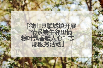 微山县驩城镇开展“情系端午邻里情 粽叶飘香暖人心”志愿服务活动