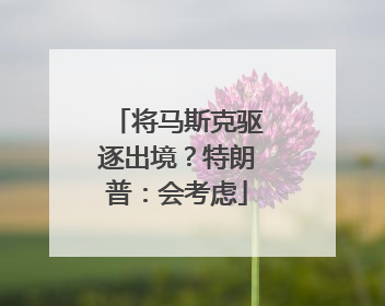 将马斯克驱逐出境？特朗普：会考虑