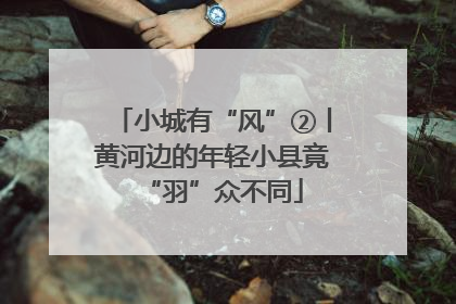 小城有“风”②丨黄河边的年轻小县竟“羽”众不同