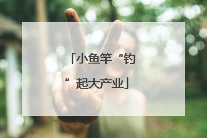小鱼竿“钓”起大产业