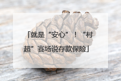 就是“安心”！“村超”赛场说存款保险