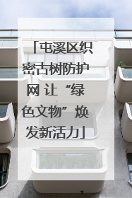 屯溪区织密古树防护网 让“绿色文物”焕发新活力