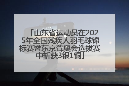 山东省运动员在2025年全国残疾人羽毛球锦标赛暨东京聋奥会选拔赛中斩获3银1铜