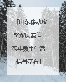 山东移动攻坚深度覆盖 筑牢数字生活信号基石