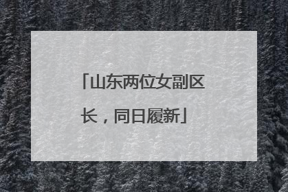 山东两位女副区长，同日履新