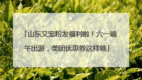 山东又宠粉发福利啦！六一端午出游，美团优惠券这样领