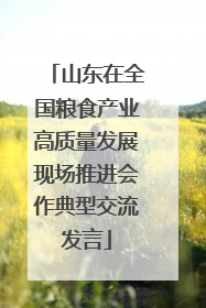 山东在全国粮食产业高质量发展现场推进会作典型交流发言