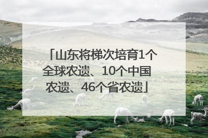 山东将梯次培育1个全球农遗、10个中国农遗、46个省农遗